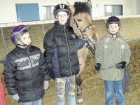 Sponsoren gesucht für die Reittherapie