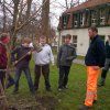 Schulpflanzaktion Deutsche Umweltstiftung